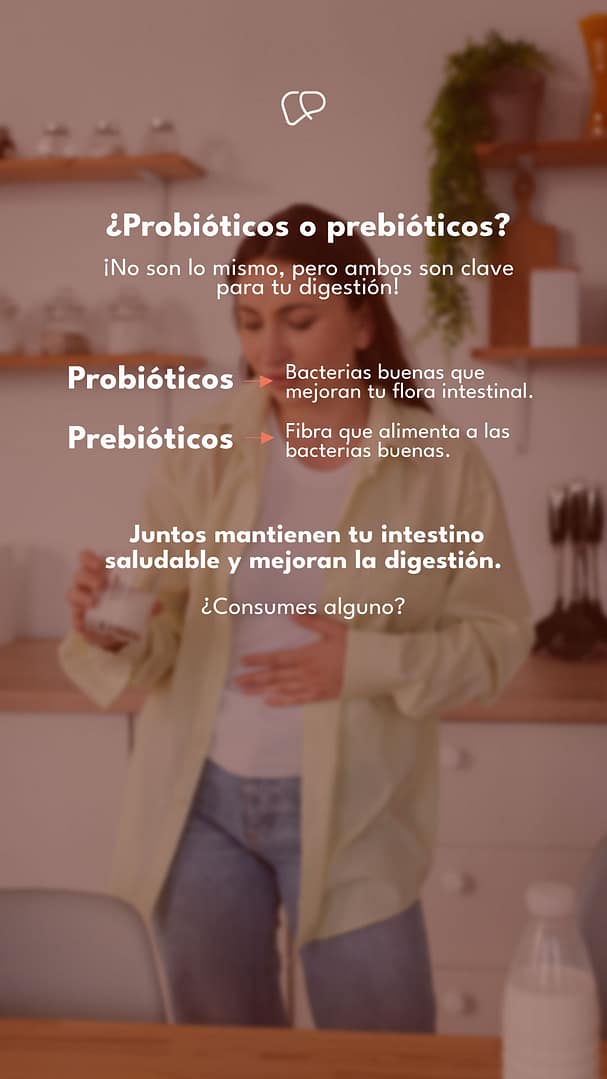 HistoriaLP11-02-2025